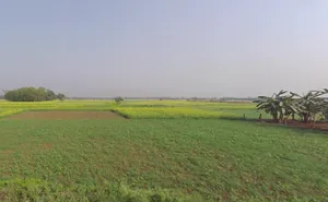 ISKCON, Chandrodaya Mandir, Mayapur, West Bengal 741313, India preview 3