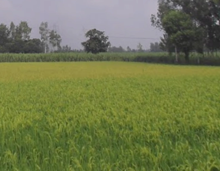 Garh Mukteshwar, Uttar Pradesh 245205, India