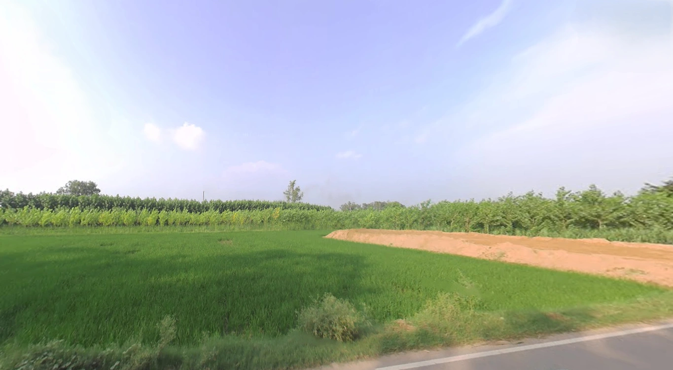 Jagadhri, Haryana, India