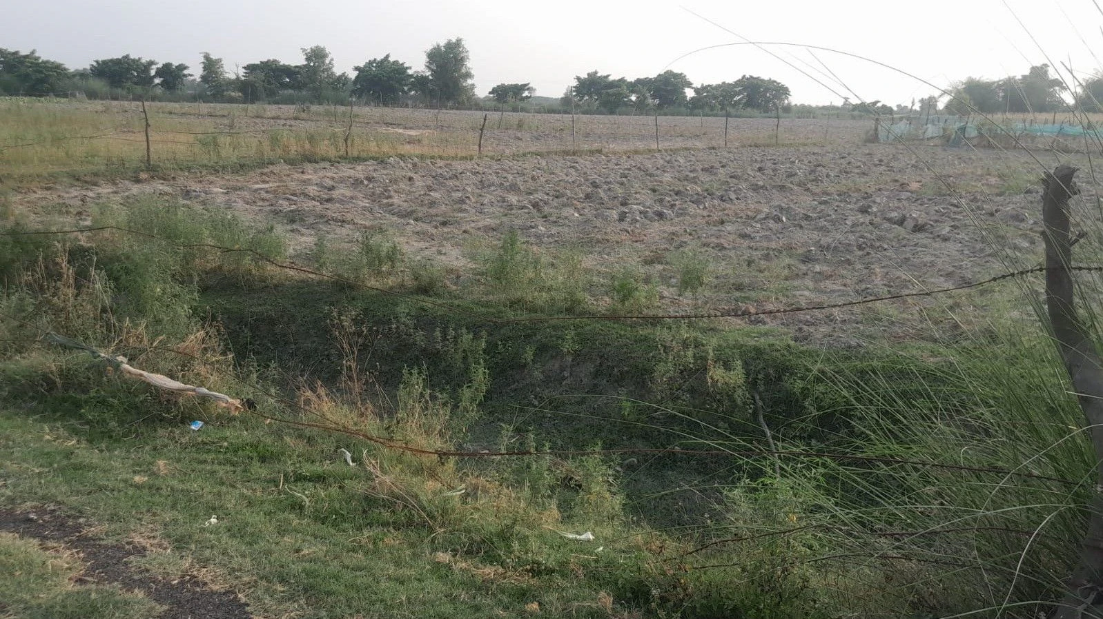 M4P3+35 Sathri, Uttar Pradesh, India