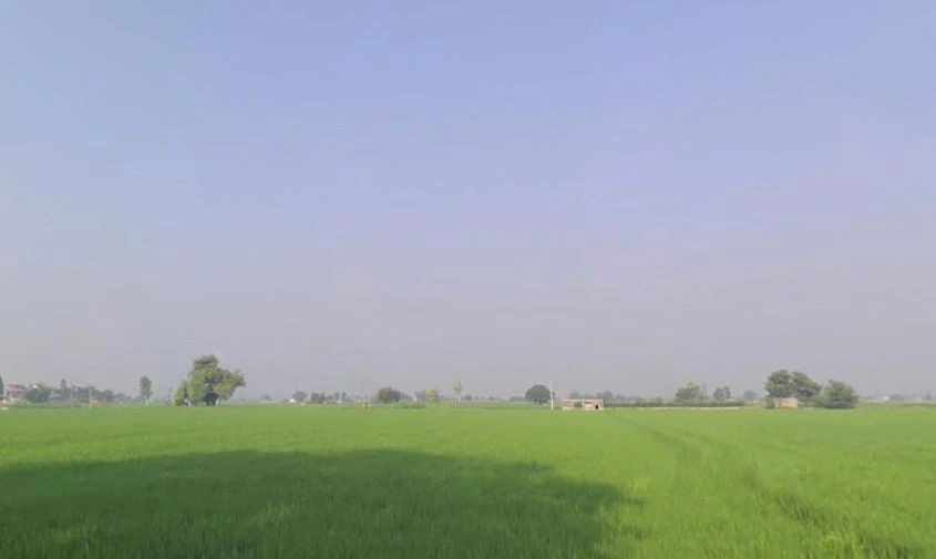 Badhni, Badhni Kalan, Punjab 142037, India