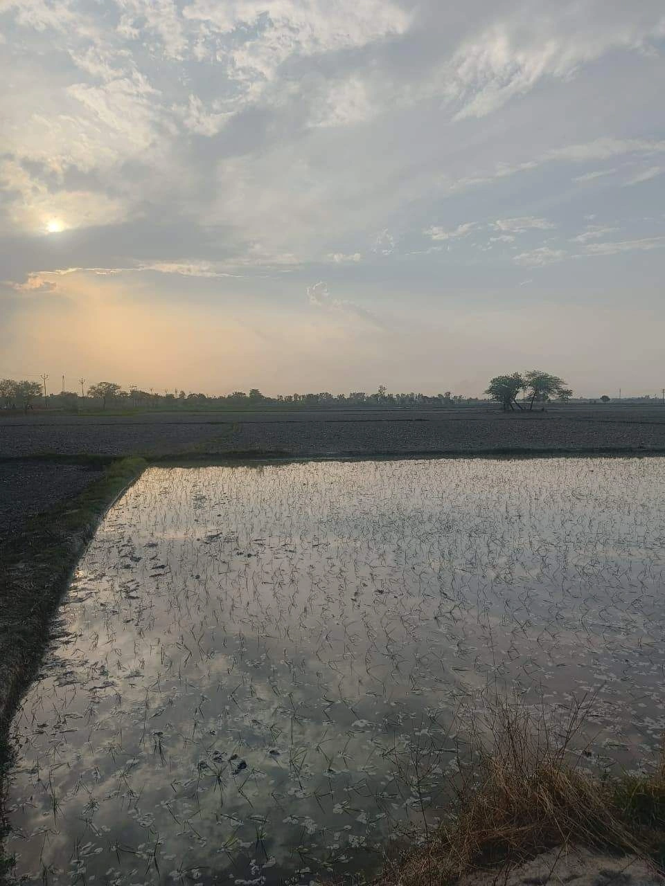Aou, Rajasthan, India