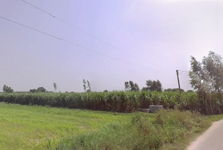 Moradabad, Uttar Pradesh, India