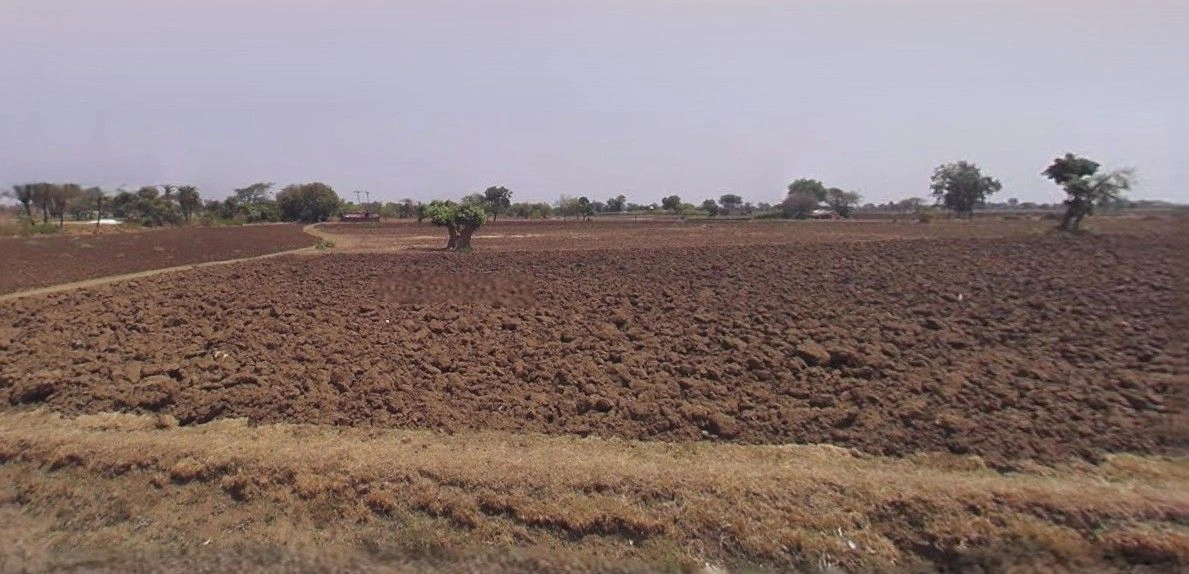 Old Harsud, Madhya Pradesh 450116, India