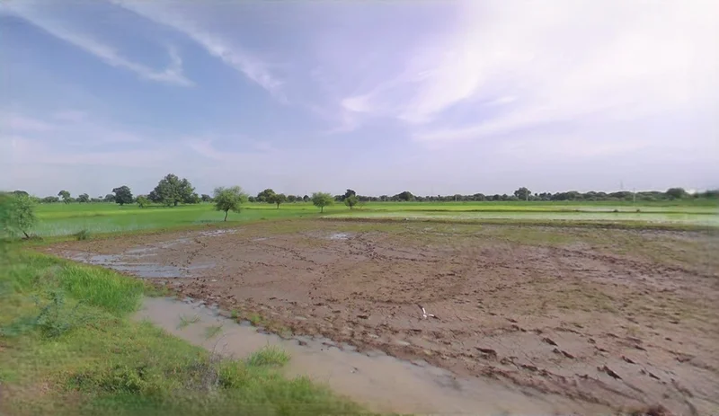 Jewar, Uttar Pradesh 203135, India preview 3