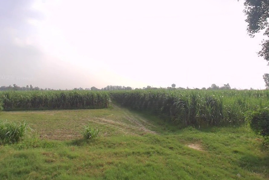 Khirwa Rd, Nangla Tashi, Meerut, Uttar Pradesh, India