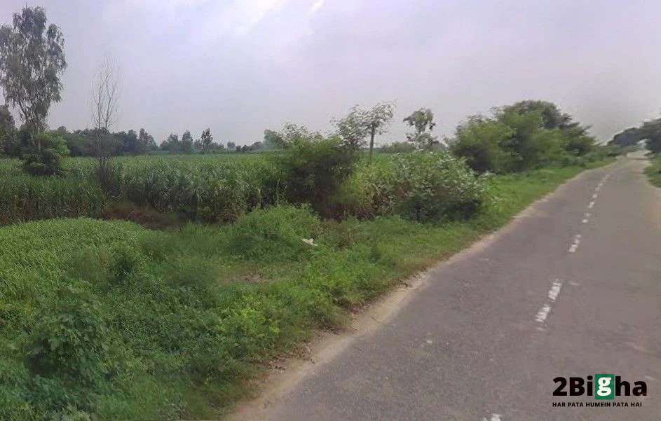 Pithlokar, Uttar Pradesh 250342, India