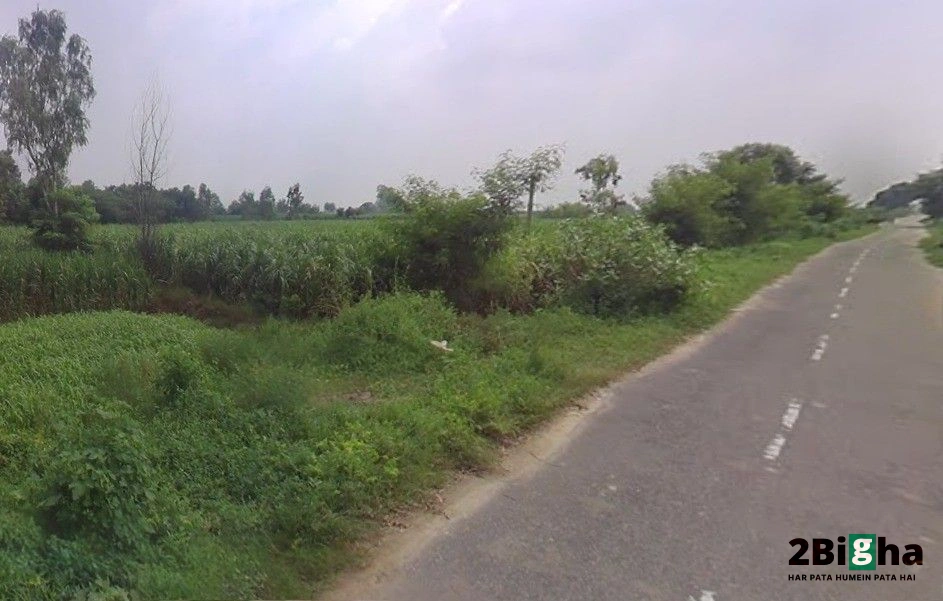 Pithlokar, Uttar Pradesh 250342, India