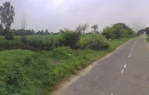 Pithlokar, Uttar Pradesh 250342, India preview 2