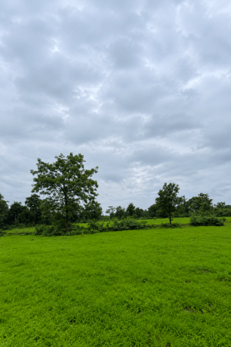 Vaibhavwadi, Sindhudurg, Maharashtra 416810, India