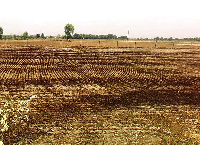 Nanua Ka Razapur, Uttar Pradesh 203201, India preview 3