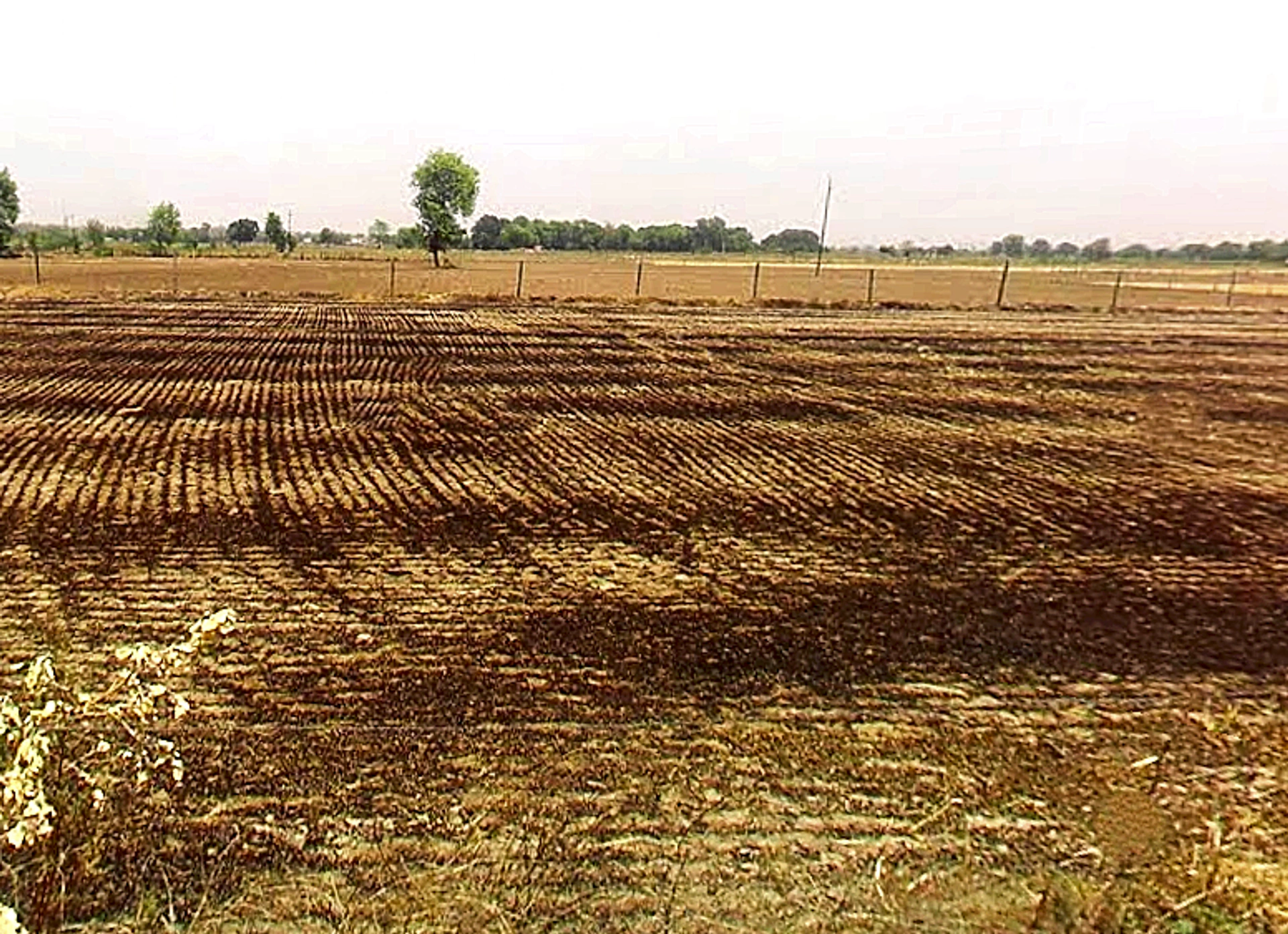 Nanua Ka Razapur, Uttar Pradesh 203201, India