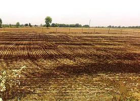 Nanua Ka Razapur, Uttar Pradesh 203201, India preview 3