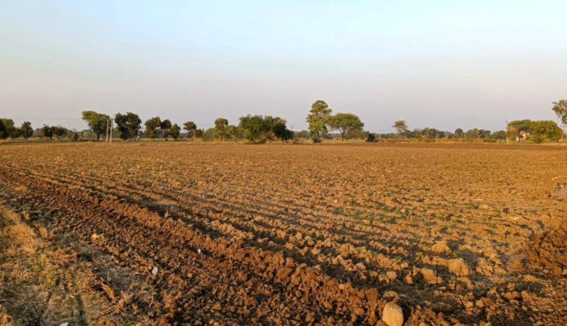 F7X2+XX Bhadson, Patiala, Punjab, India