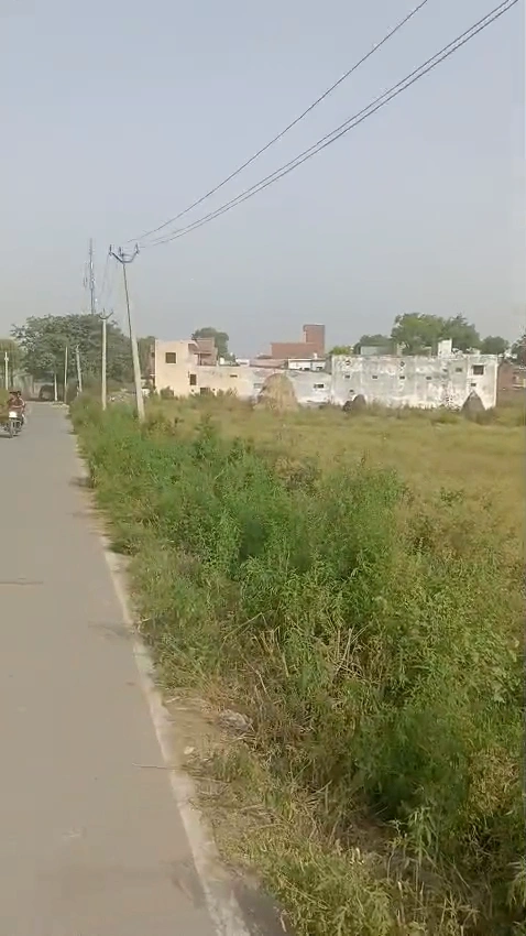 QPH6+6V5, Sarawa, Uttar Pradesh 245206, India