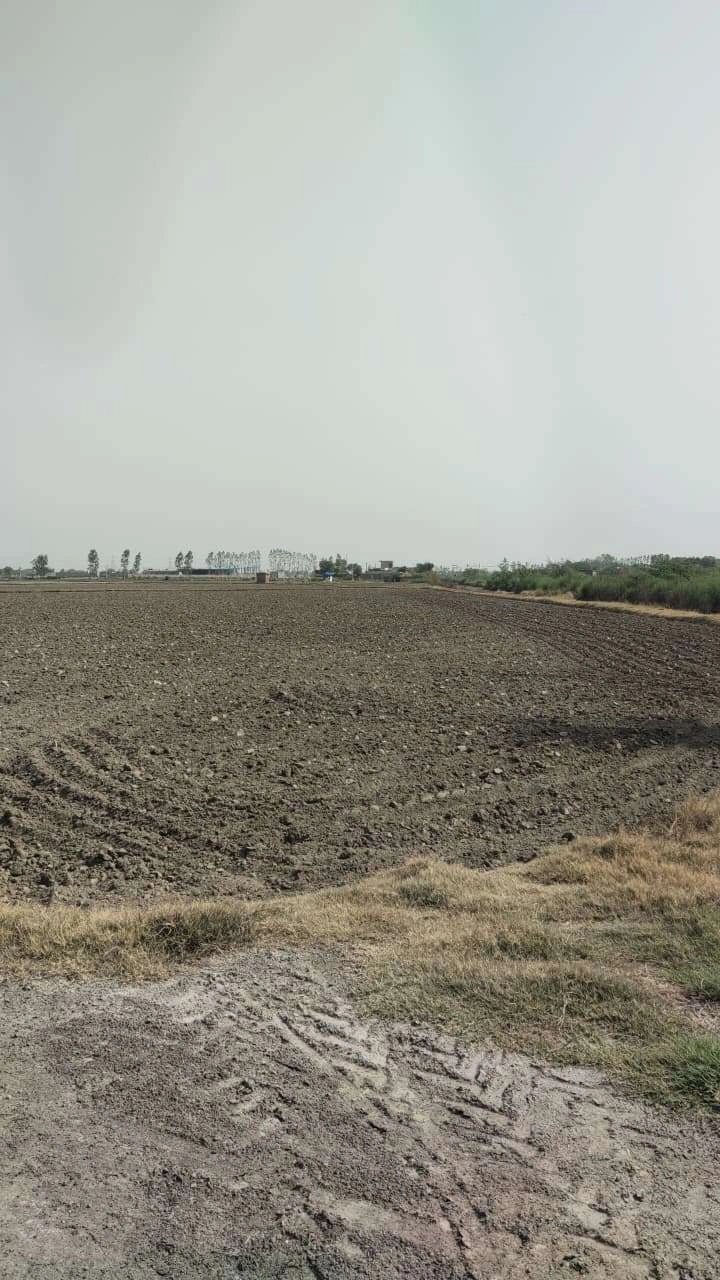 Ajijpur, Uttar Pradesh, India preview 3