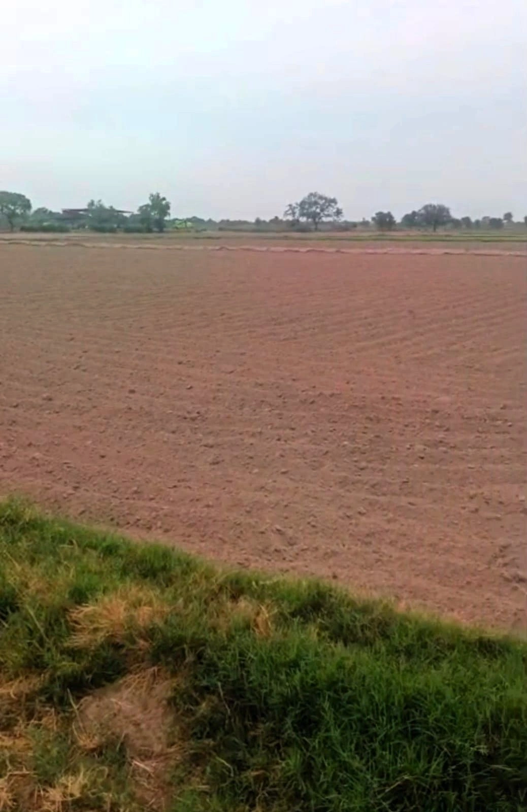 Allika, Palwal, Haryana 121102, India
