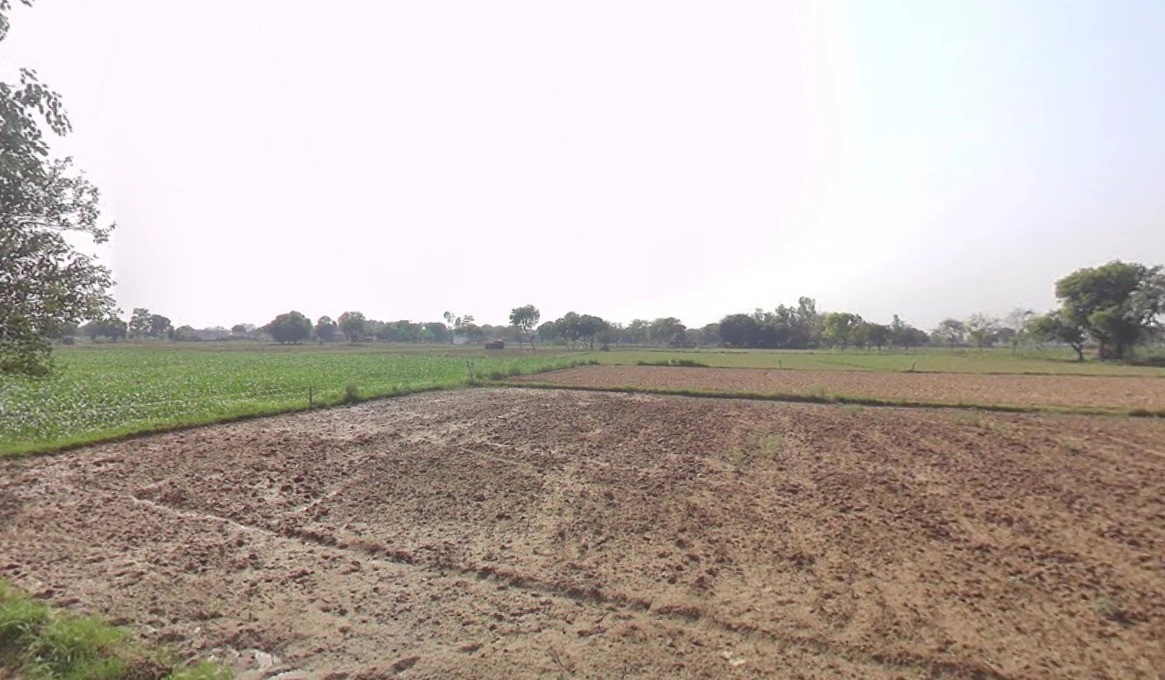 Ronsara, Madhya Pradesh 487330, India