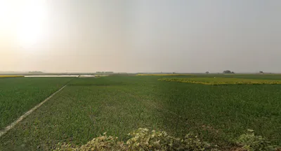 11, Kalyani Expy, Beltala, Pratapgarh, Birati, Khardaha, Kolkata, West Bengal 700110, India preview 2