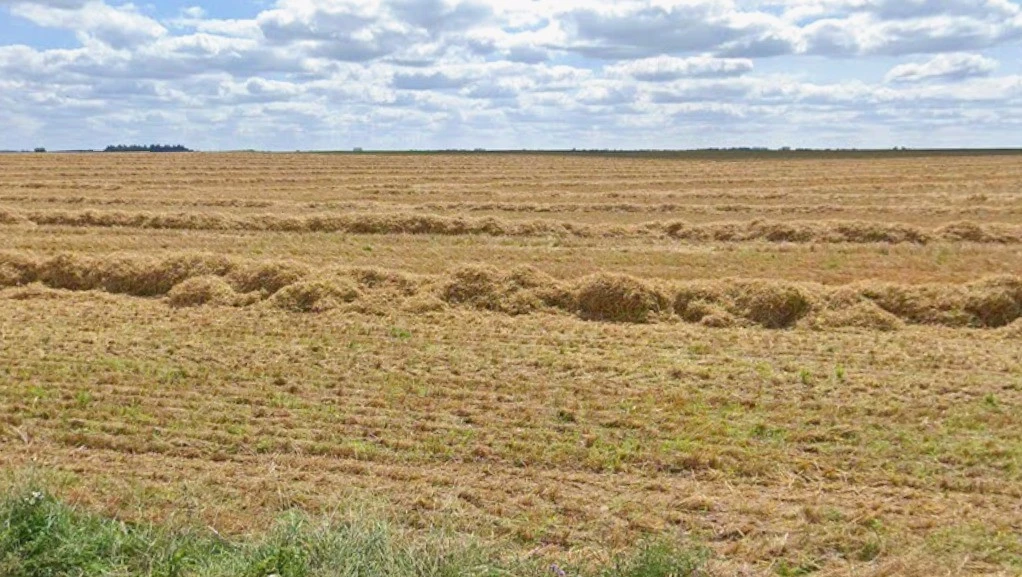 Lotiya, Madhya Pradesh 466115, India