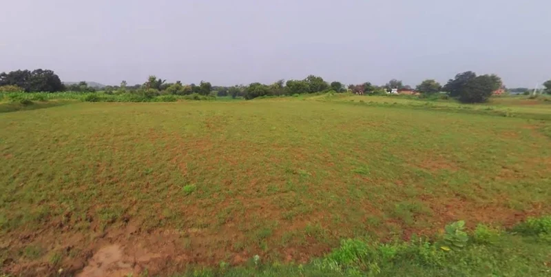 Barnagar, Madhya Pradesh 456771, India preview 2