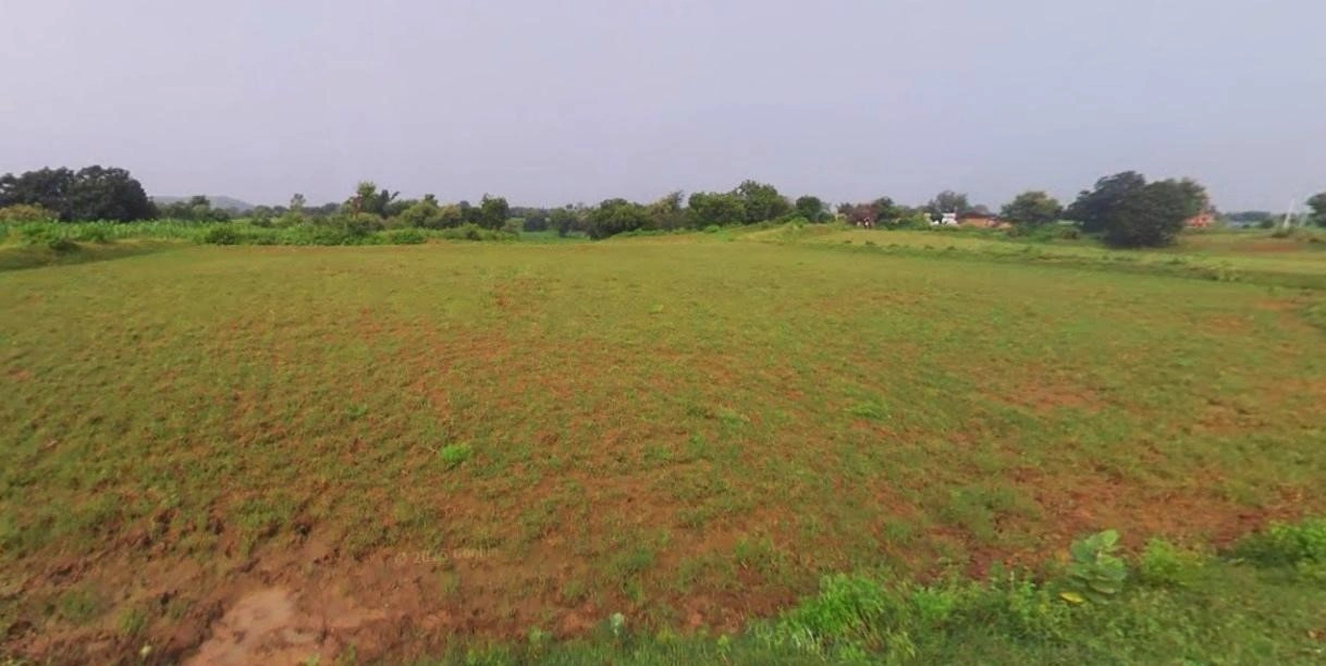 Barnagar, Madhya Pradesh 456771, India