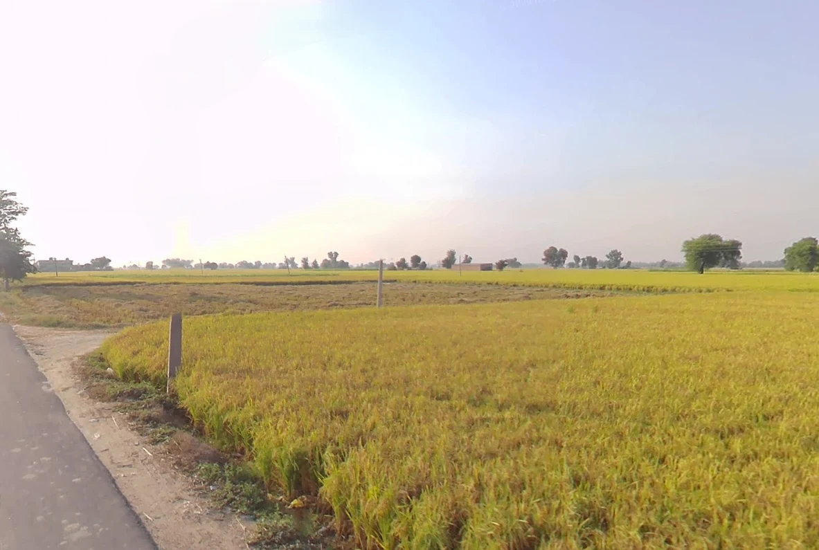 Kariwala, Haryana 125075, India preview 2