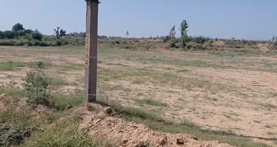 Hangoli, Haryana 134204, India