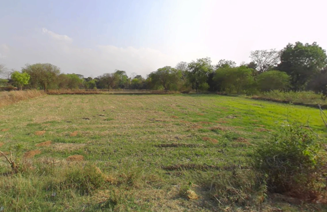 Ranka, Chhattisgarh 491445, India