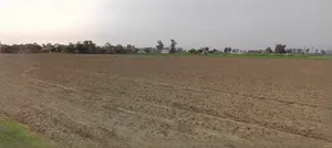 Khatoo, Rajasthan 332602, India preview 3