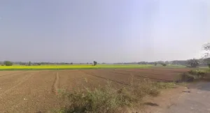 Mayapur, West Bengal 741313, India preview 2