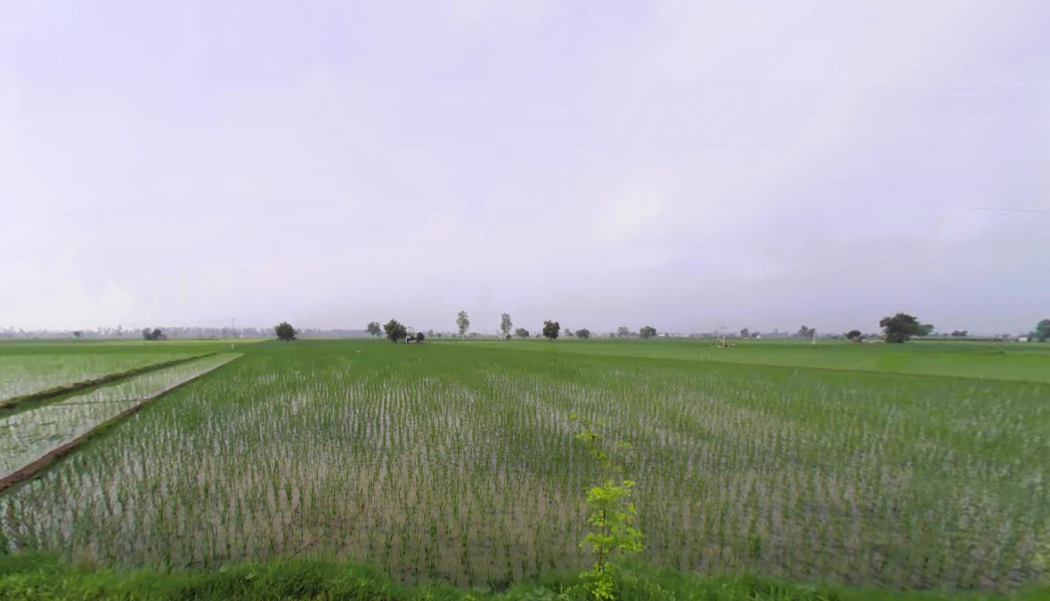 Assandh, Haryana 132039, India