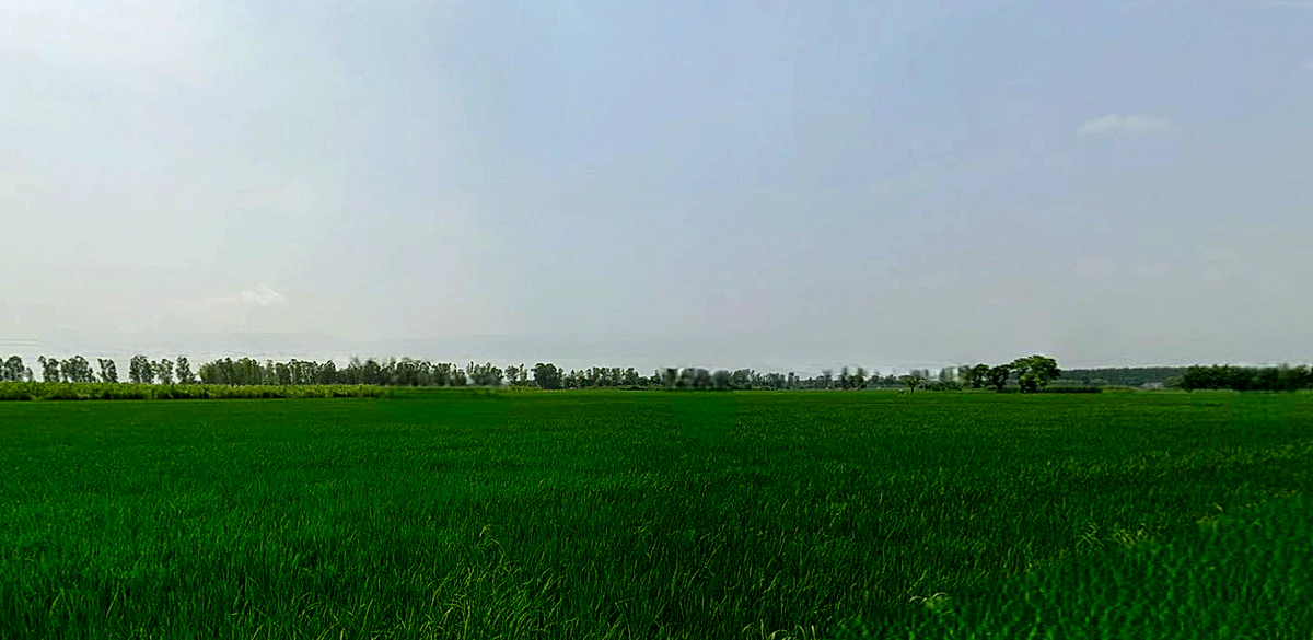 Morinda - Chunni Rd, Bhateri, Punjab, India