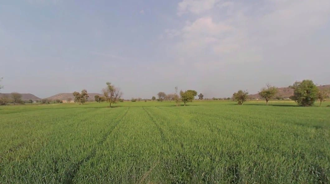 CQVH+5HP, Khunteta Khurd, Rajasthan 301001, India