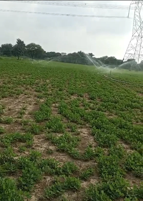 6X5P+HF8, Anuppur, Kotma, Madhya Pradesh 484334, India