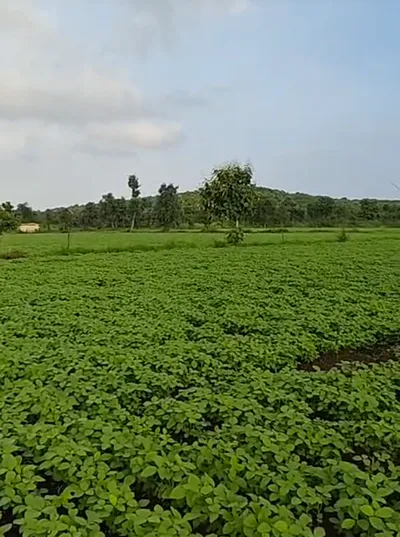 J68F+4Q Amloh, Punjab, India preview 2