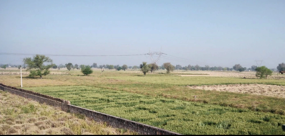 Deenar, Lachhmangarh, Alwar, Rajasthan, India