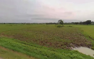 Jhajjar, Haryana 124103, India preview 3