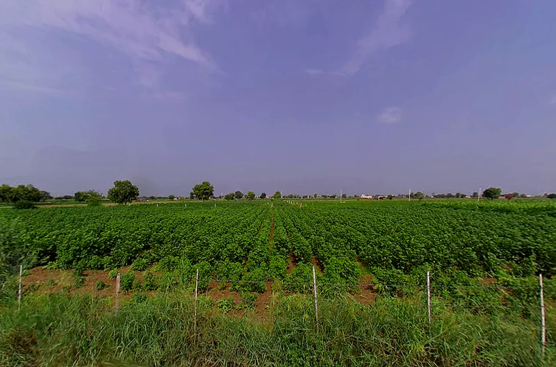 Talwandi Rana, Haryana 125005, India preview 3