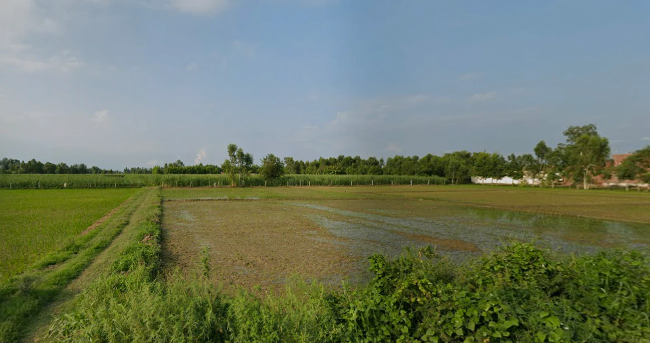 Siyana, Uttar Pradesh 203412, India