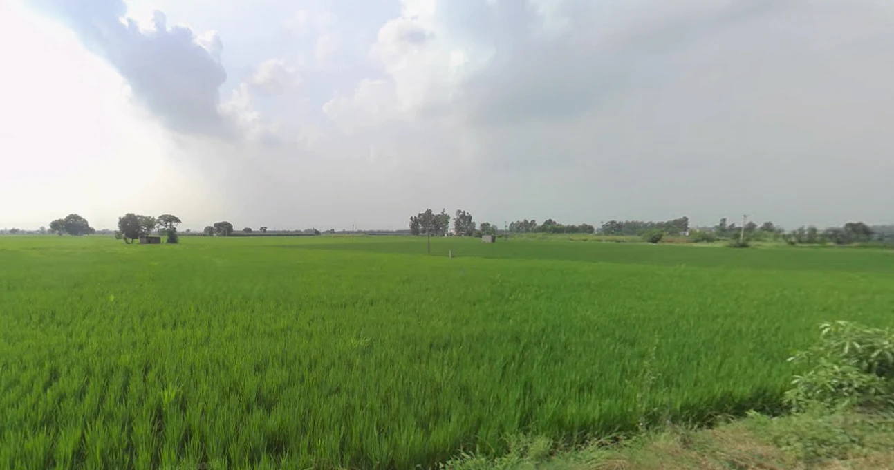 Morinda - Chunni Rd, Bhateri, Punjab, India