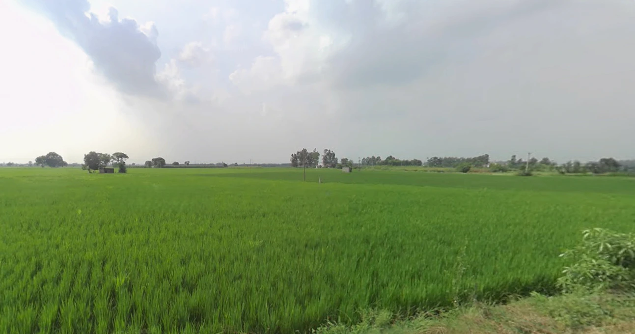 Morinda - Chunni Rd, Bhateri, Punjab, India