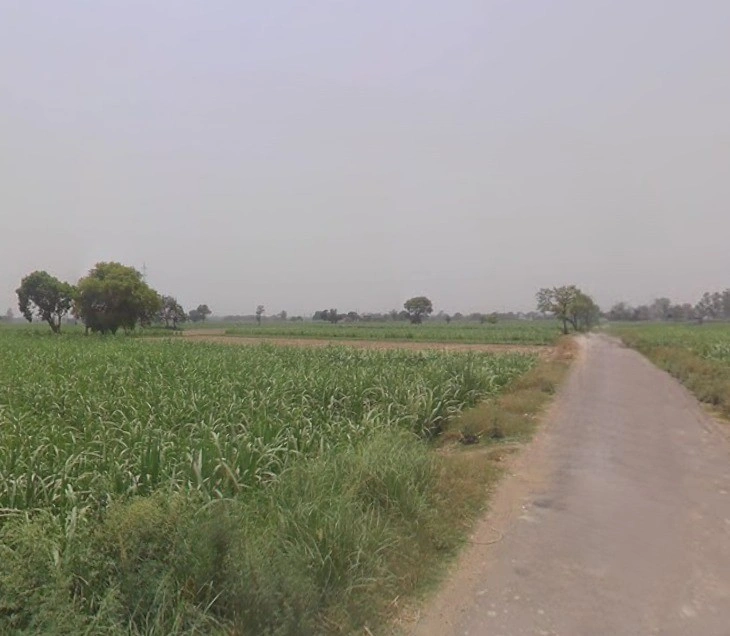 Dungar, Uttar Pradesh 250502, India