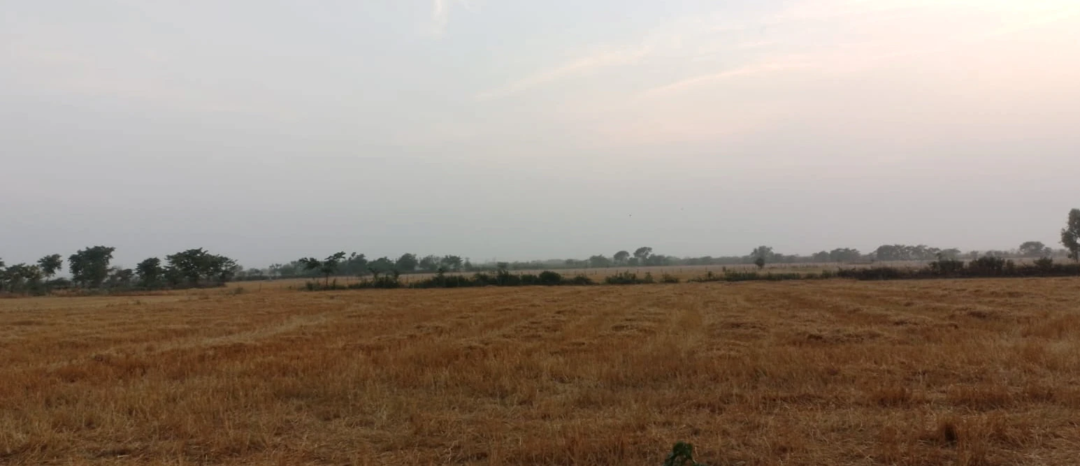 Tewar, Punjab 140301, India