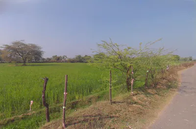 JW5V+XH9, Chaksu, Rajasthan 303901, India preview 3