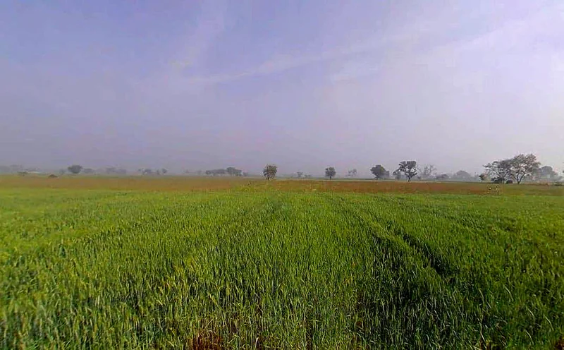 GWM7+R36, Sirmaur, Rajasthan 301026, India preview 3