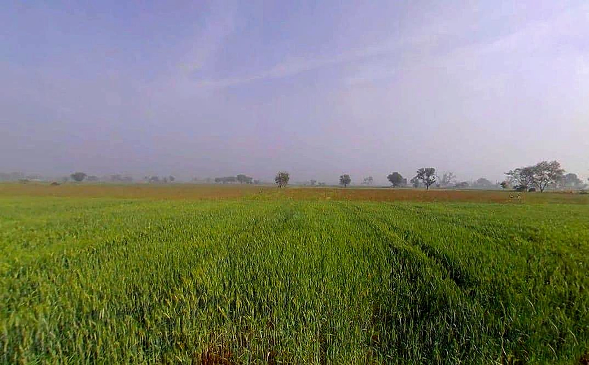 GWM7+R36, Sirmaur, Rajasthan 301026, India