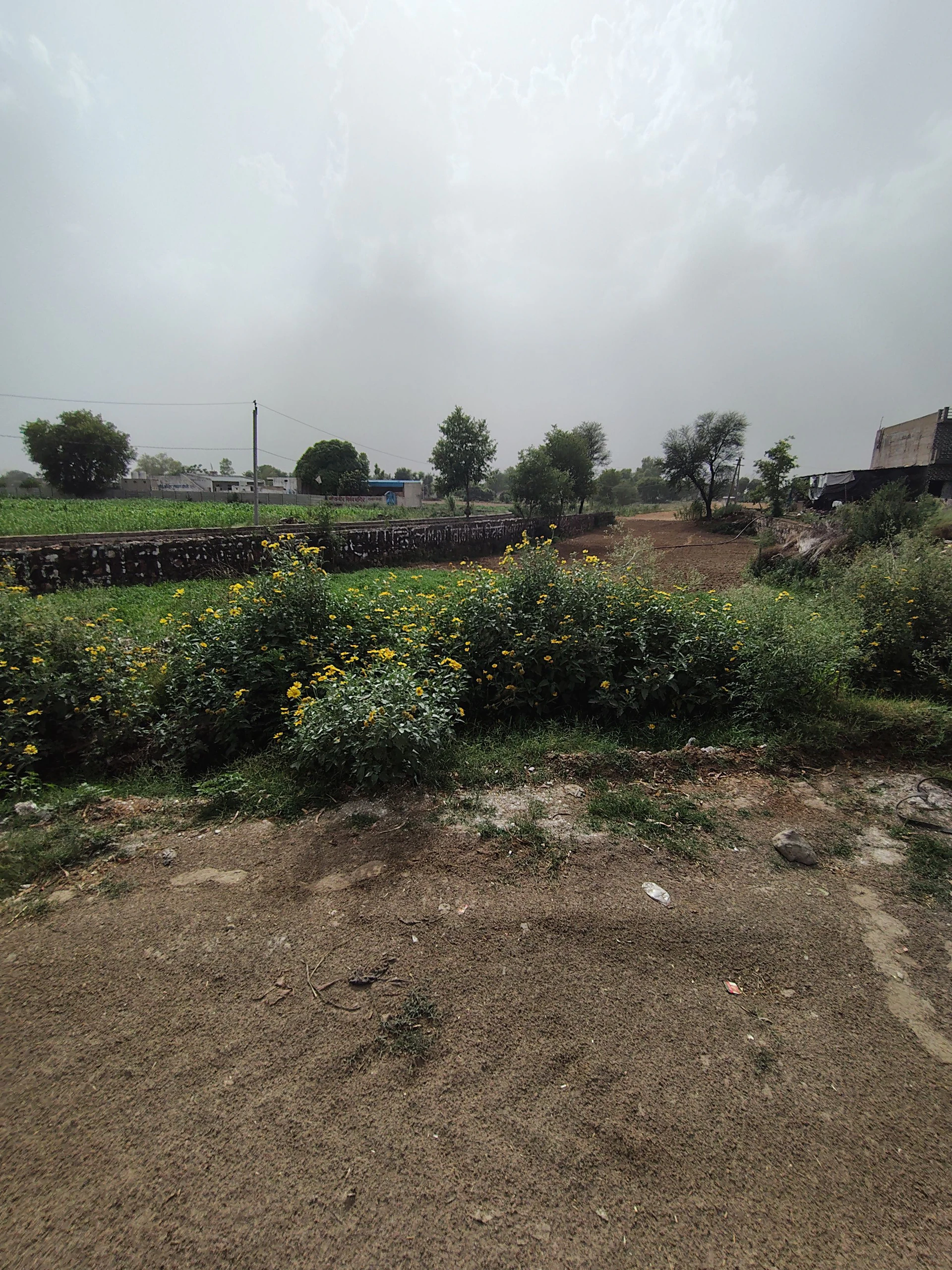 Rambas Jhonpri, Tijara, Khairthal-Tijara, Rajasthan, India