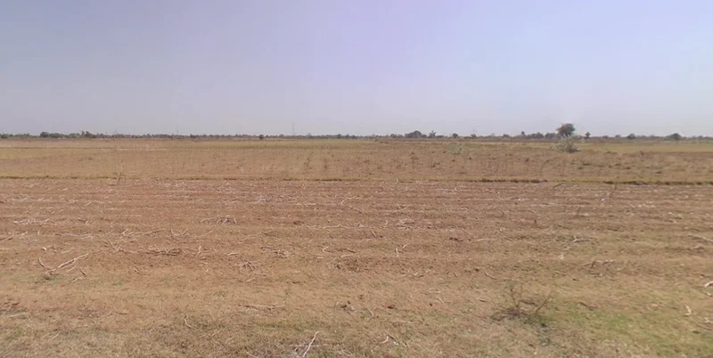 7PJV+36M, Danthal, Dadiya, Rajasthan 311011, India preview 3