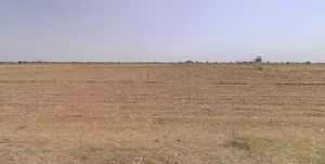 7PJV+36M, Danthal, Dadiya, Rajasthan 311011, India preview 3